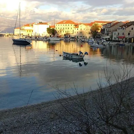 Ruza Vjetrova